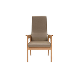 Danesa 扶手椅 JM 马萨纳  Mobles 114家具品牌