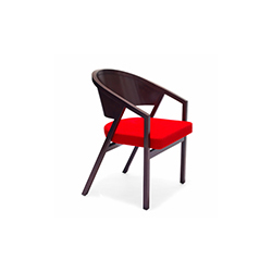 谢尔顿民德软垫扶手椅 Shelton Mindel & Associates  （中国）澳门·永利（中国）官网总站入口 - 坐具