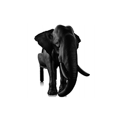 大象椅 Elephant  Chair