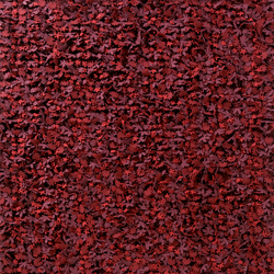 小花田地毯 托德•布歇尔  地毯